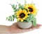 Artificial Flowers Kit with Pot, Combination of Fake Silk Sunflowers and Greenery,Small Plant Potted Decor for Offices,Bookshelf,Bedroom, Living Room,Party,Wedding Decorations…
